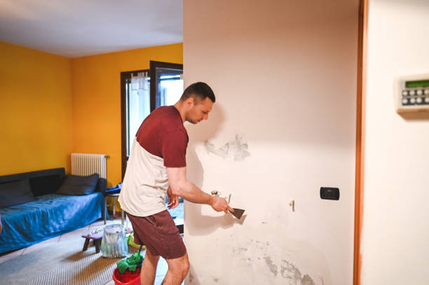 Best Emergency Mold Removal  in Greenfield, CA